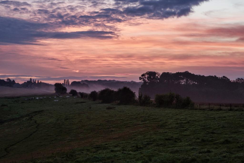 Vakantieboerderij Ferme Le Bleuet Villa Ohey Bagian luar foto